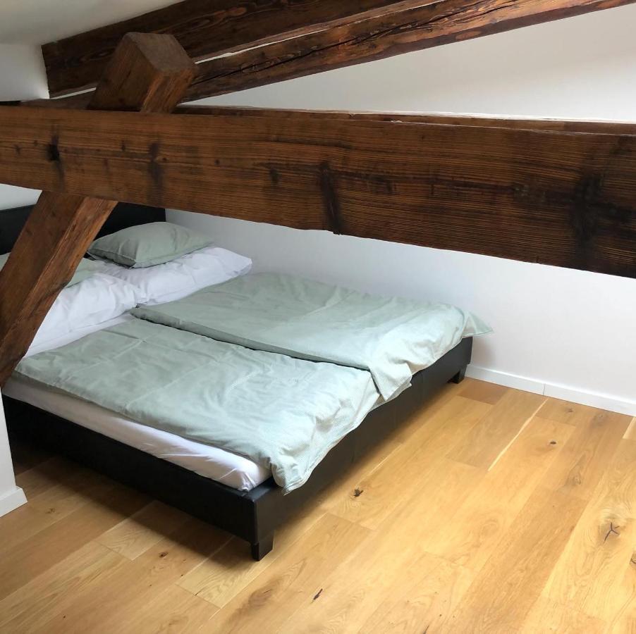 Apartment Loft V Historickom Centre Trencin