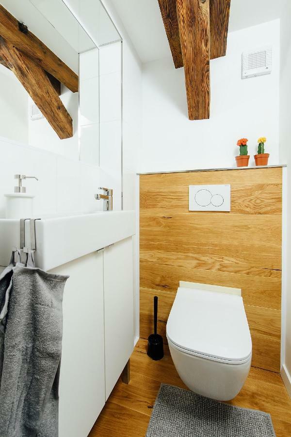 Loft V Historickom Centre Apartment Trencin