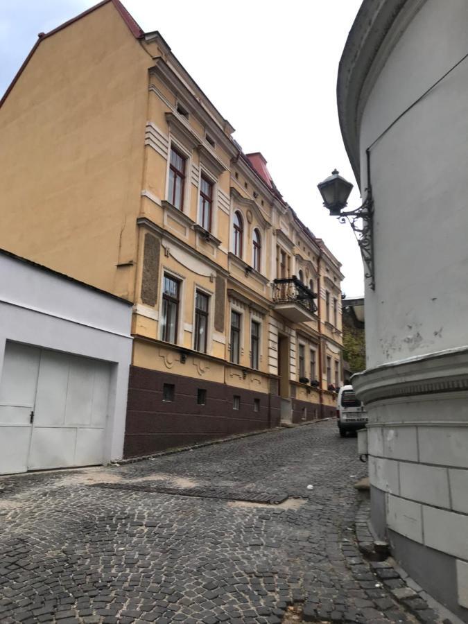 Loft V Historickom Centre Apartment Trencin